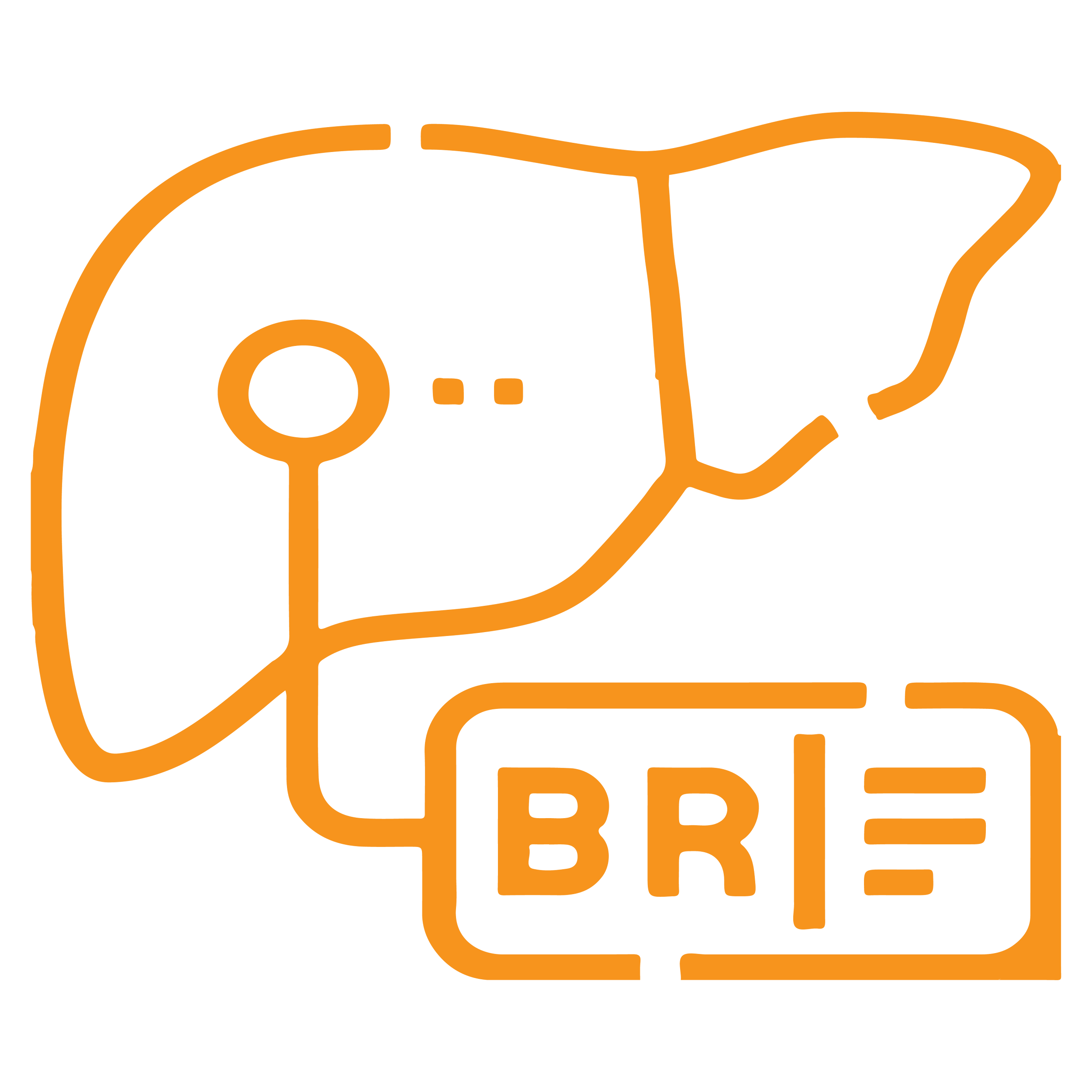 Bilirubin Tests