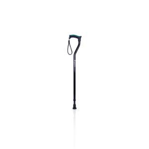 Walking Stick 001
